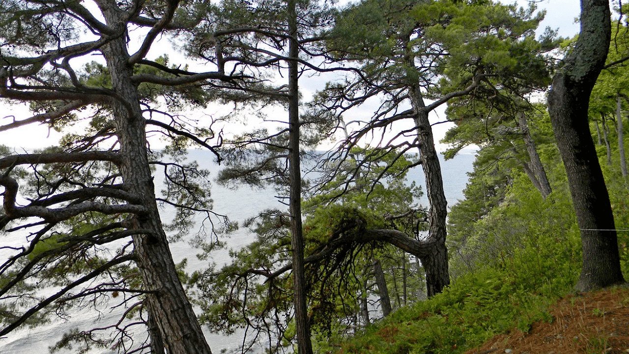 Главная картинка новости: На Кубани сформирован Экспертный Совет по особо охраняемым территориям