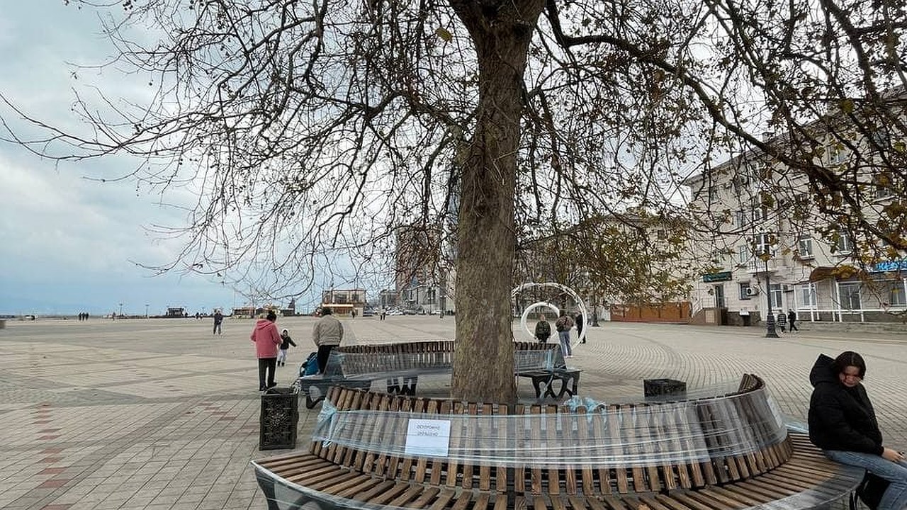 Главная картинка новости: На Форумной площади в Новороссийске установили новые лавочки вокруг платана