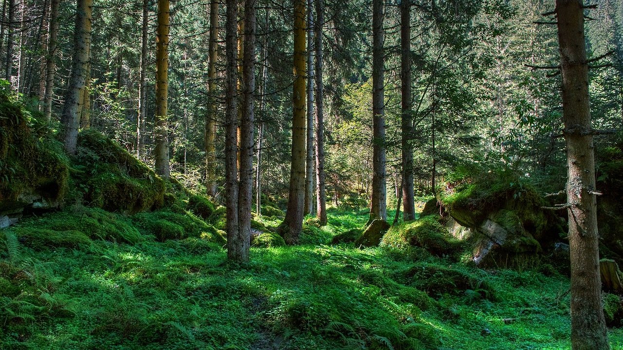 Главная картинка новости: Итоги "Зеленого форума" в Новороссийске