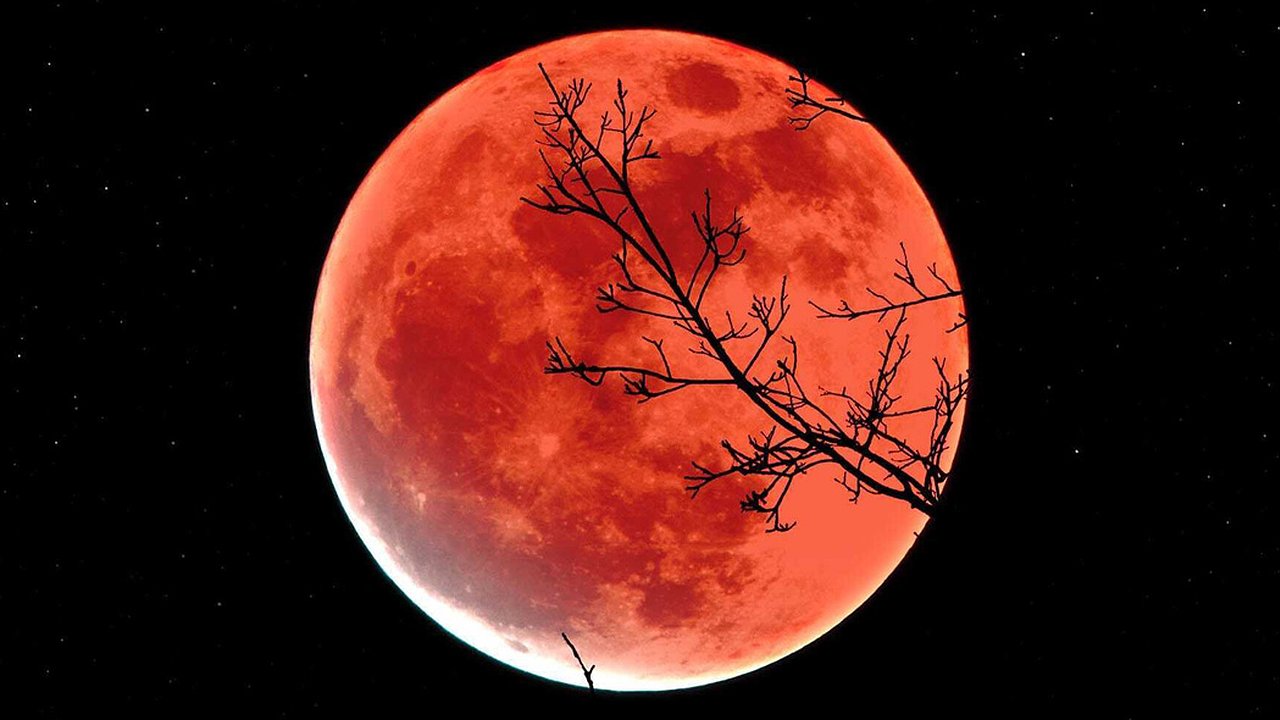 Главная картинка новости: Лунное затмение в октябре 2023 года: что это и когда новороссийцы смогут его увидеть