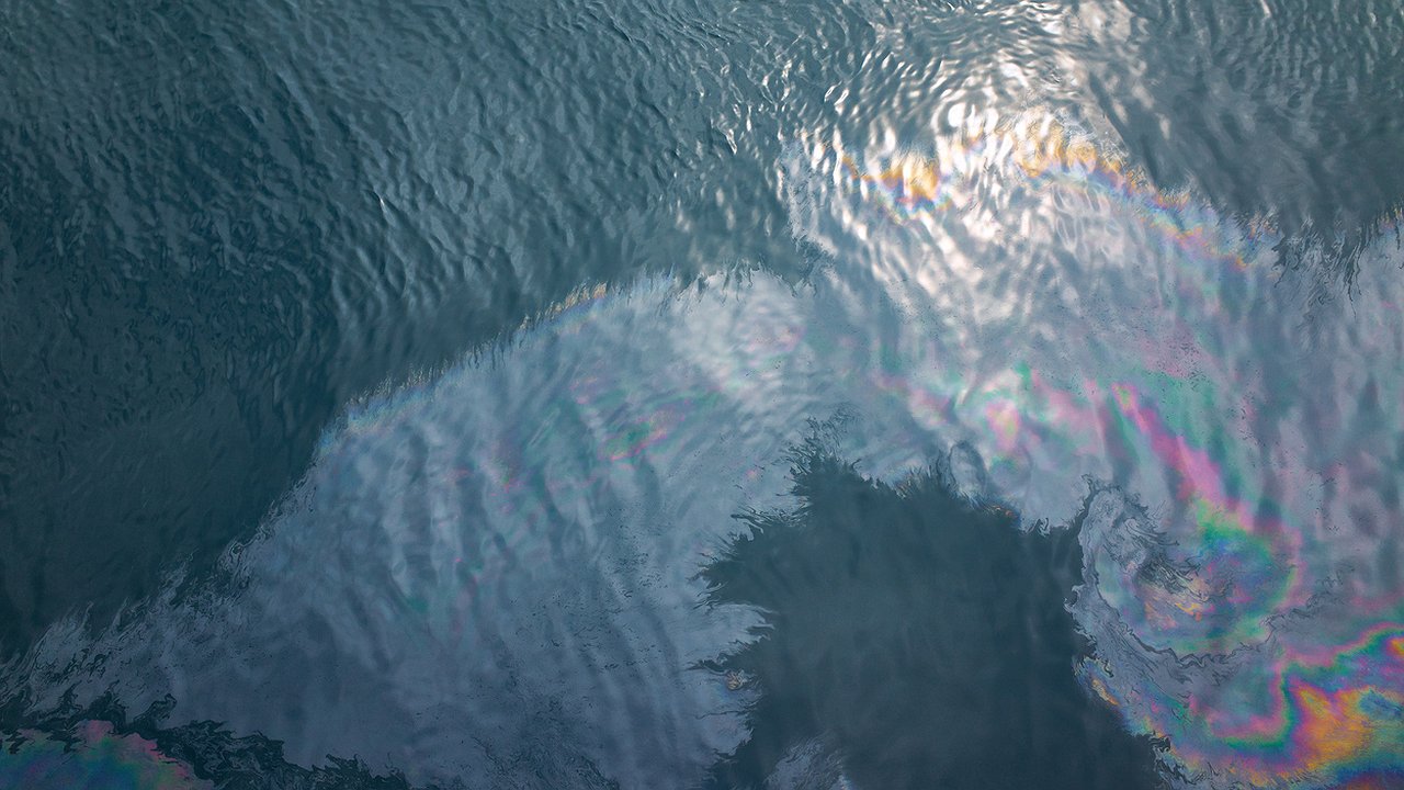 Главная картинка новости: На выходе из Новороссийской бухты обнаружили 10-километровые нефтяные пятна