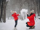 На Кубани усилят безопасность во время праздников в общественных местах и на дорогах