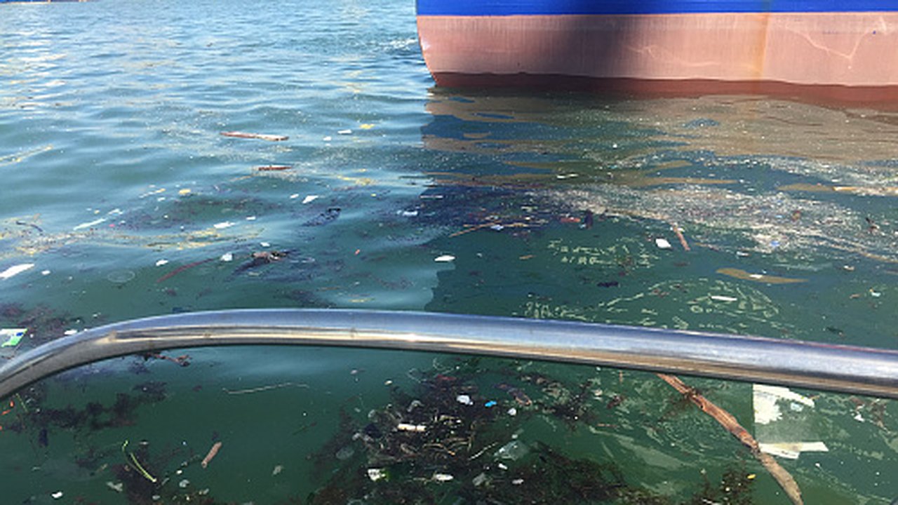 Главная картинка новости: Новороссийский порт хотят оштрафовать на 20 миллионов за загрязнение моря