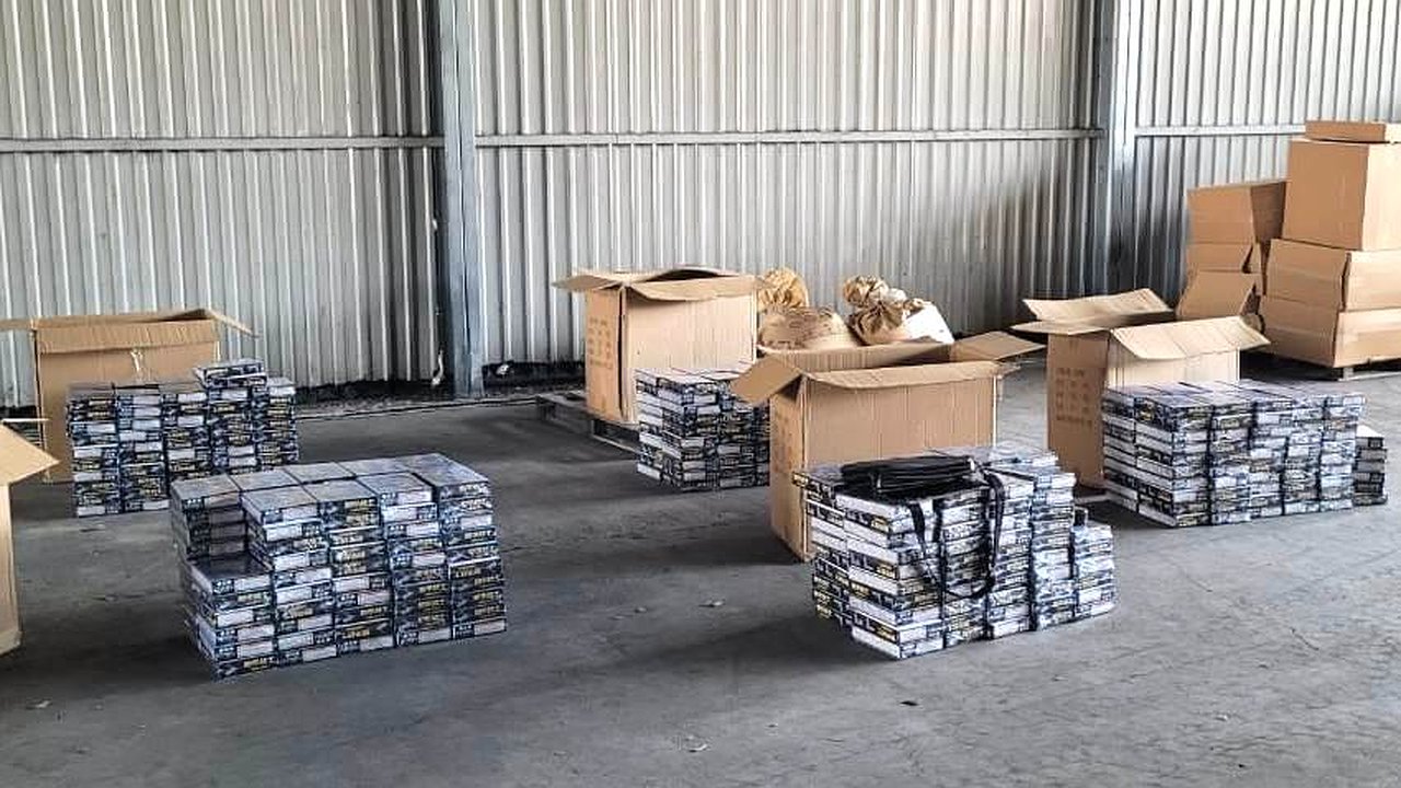 Главная картинка новости: Таможенники в Новороссийске изъяли почти полсотни игрушечных пистолетов