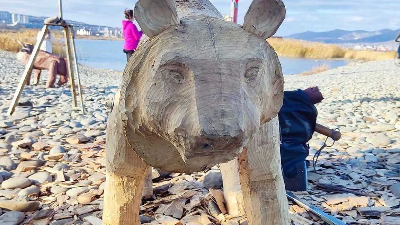Главная картинка новости: На мысе Суджук в Новороссийске делают деревянную фигуру тигра