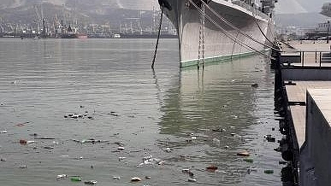 Главная картинка новости: Рядом с Форумной площадью в Новороссийске образовалась плавучая помойка