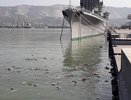 Рядом с Форумной площадью в Новороссийске образовалась плавучая помойка