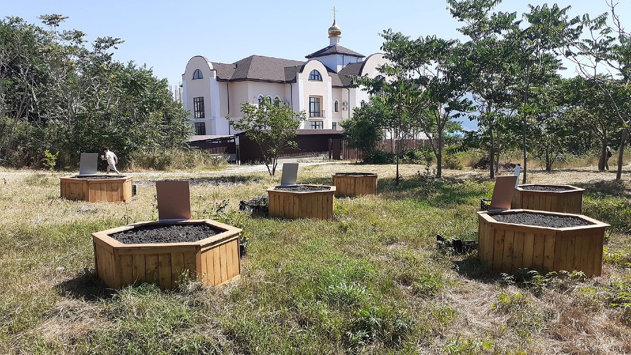 Главная картинка новости: Монарда и шалфей: в Дендропарке Новороссийска появился Аптекарский огород