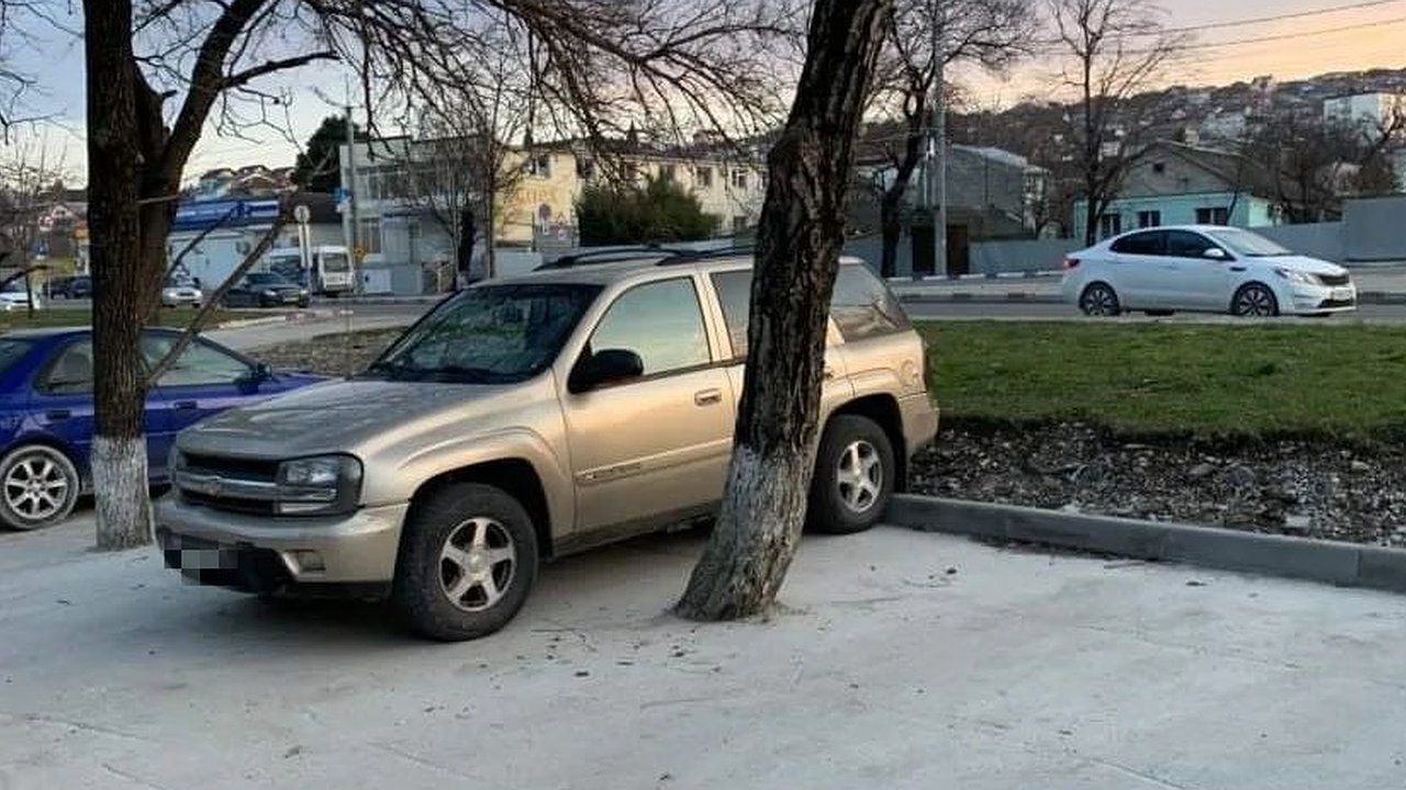 Главная картинка новости: При обустройстве парковки в Новороссийске забетонировали деревья