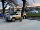 При обустройстве парковки в Новороссийске забетонировали деревья