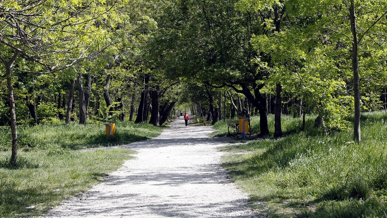 Главная картинка новости: Новороссийцы могут выбрать зеленую зону для благоустройства