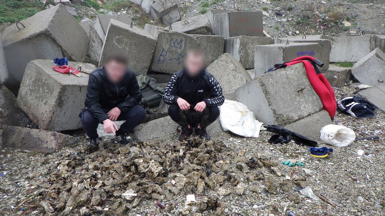 Главная картинка новости: Новороссийцам назначили 2 года условно за незаконный вылов мидий