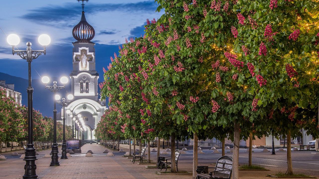 Главная картинка новости: Концерты, турнир по шашкам и спортивный фестиваль: как Новороссийск отметит День народного единства