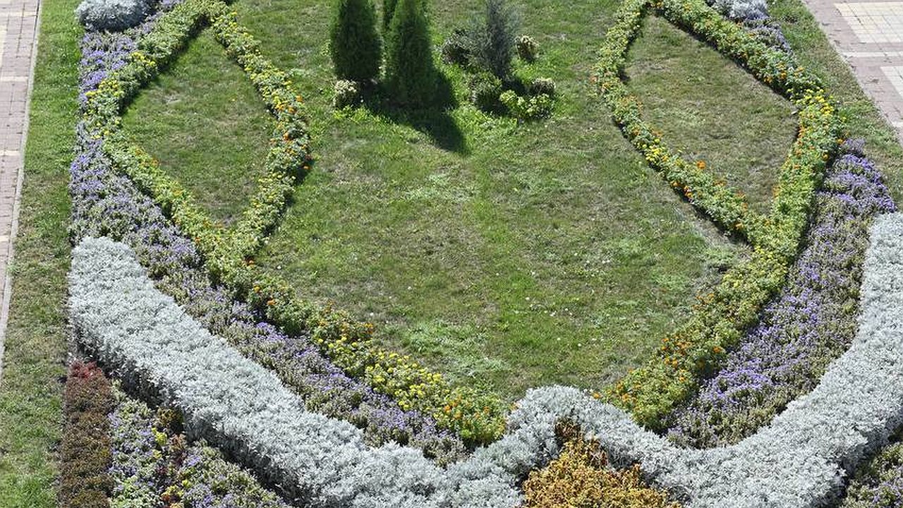 Главная картинка новости: Осенью в Новороссийске высадят 335 тысяч нарциссов и тюльпанов