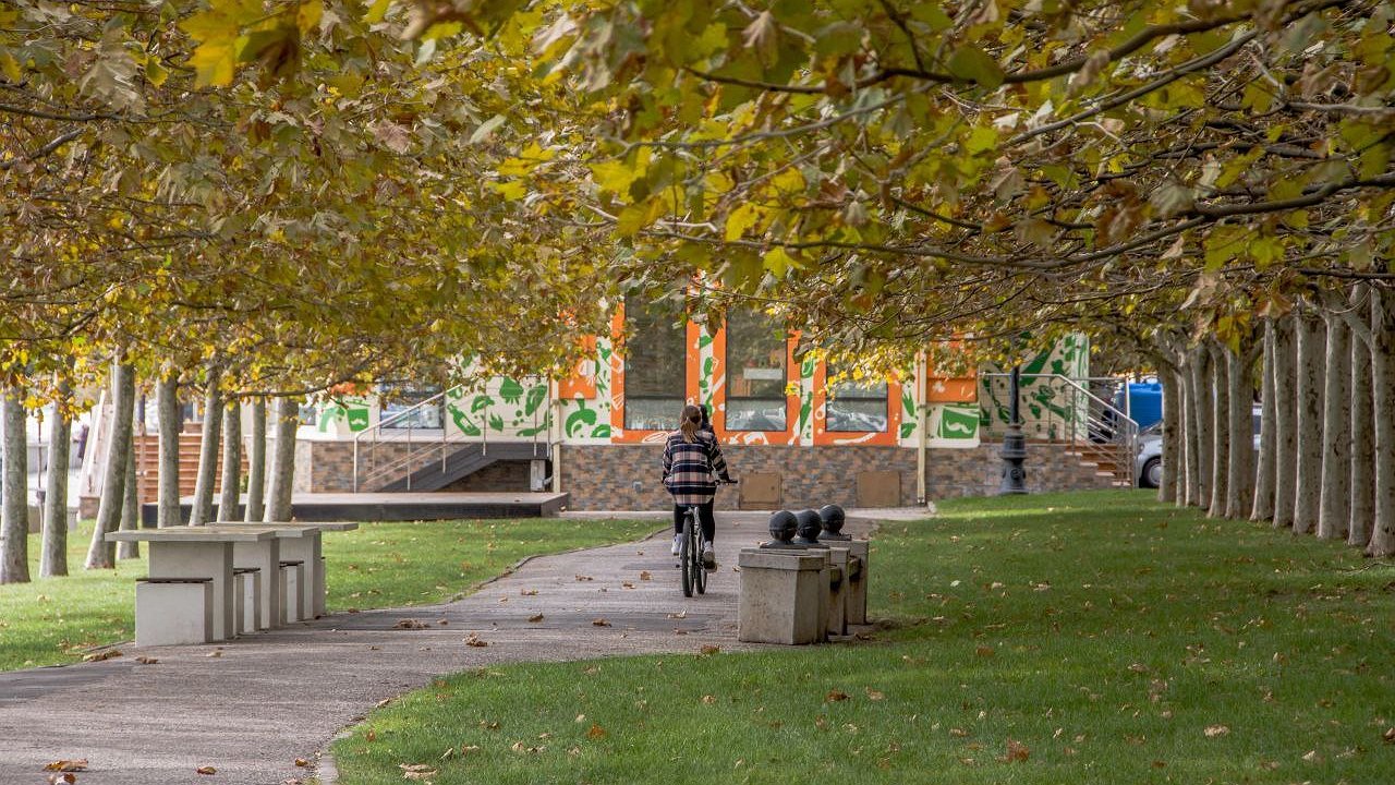 Главная картинка новости: В последние выходные октября температура поднимется до +18 градусов в Новороссийске