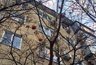 Миниатюра новости: Во дворе пятиэтажки в Новороссийске спеет хурма