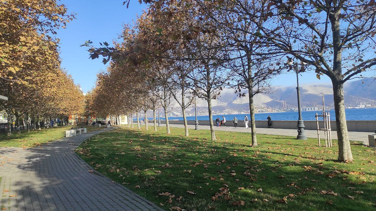 Главная картинка новости: На Черноморском побережье синоптики обещают потепление до +21 градуса