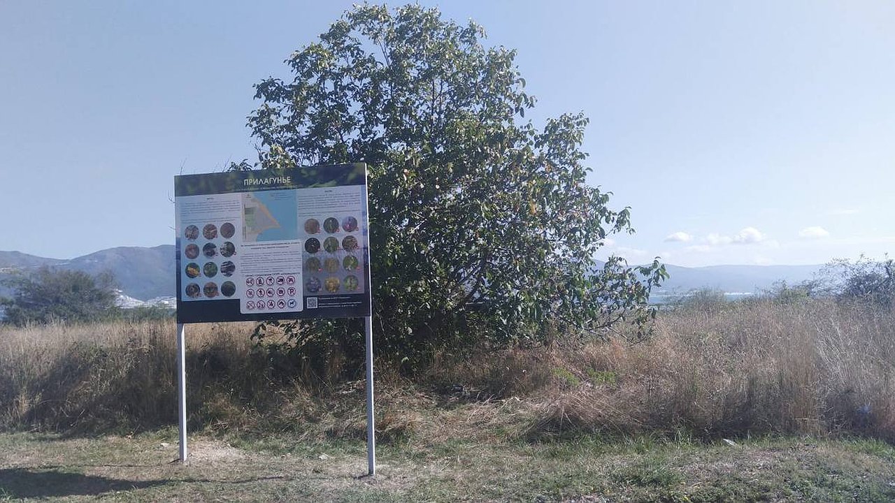 Главная картинка новости: В Новороссийске пройдут мероприятия к Всемирному дню окружающей среды