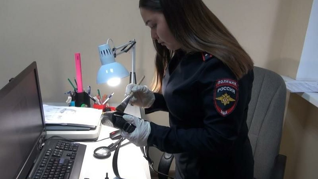 Главная картинка новости: Перед судом предстанет новороссиец, который сорвал сумку с плеча прохожего