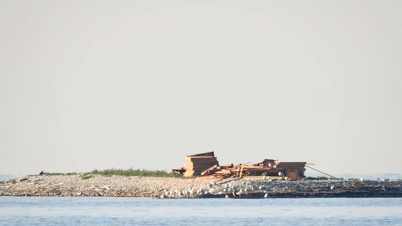 Главная картинка новости: На острове Суджук в Новороссийске проведут проверку