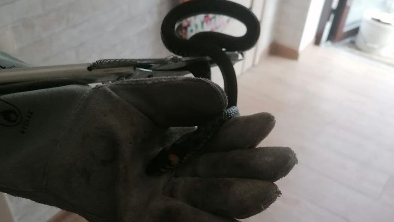 Главная картинка новости: Новороссийские спасатели поймали змею в детской комнате