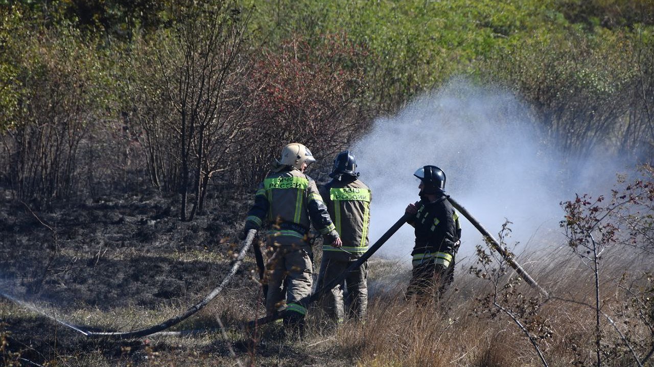 Главная картинка новости: На Прилагунье загорелся мусор: огнеборцы Новороссийска тушили пожар 1,5 часа