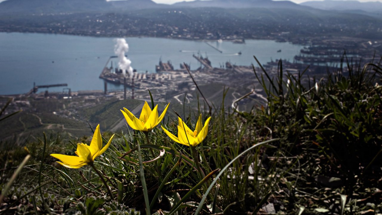 Главная картинка новости: Новороссийцев ждут теплые солнечные выходные