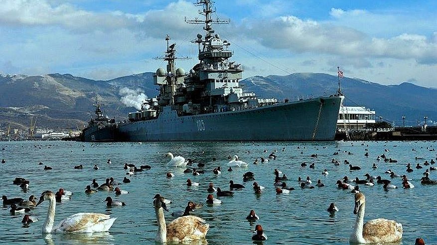 Главная картинка новости: Зимующих в Новороссийске птиц нельзя кормить хлебом