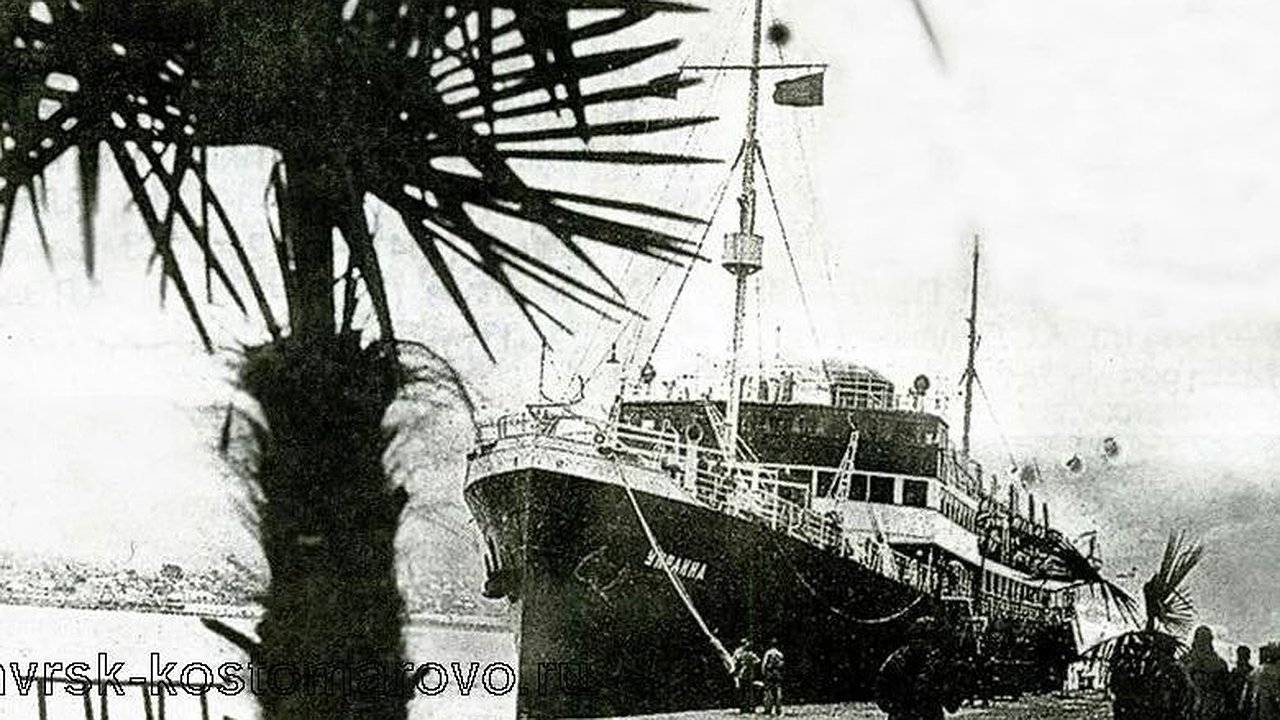 Главная картинка новости: До войны на набережной Новороссийска росли пальмы