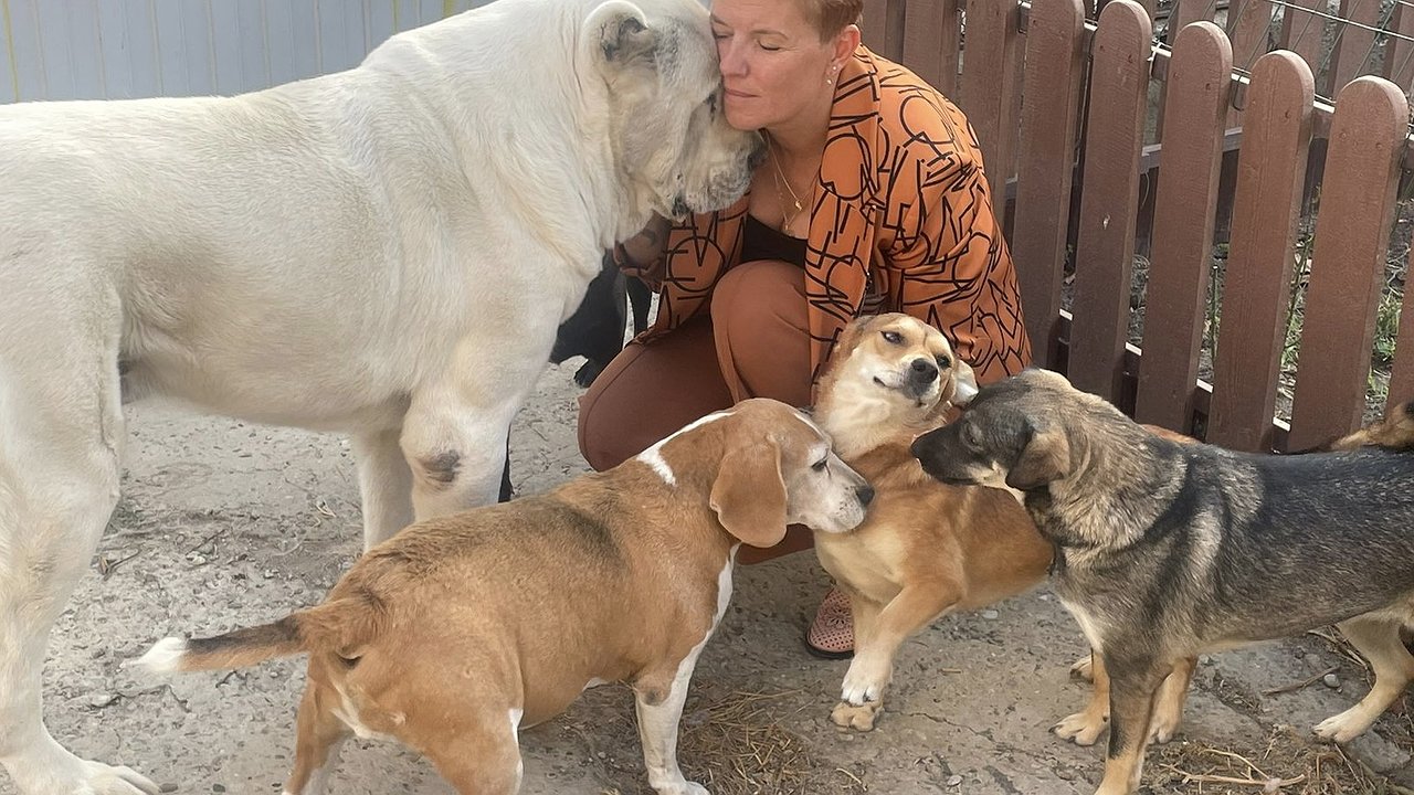 Главная картинка новости: Помогать животным – это важно: юные новороссийцы знают это, как никто другой