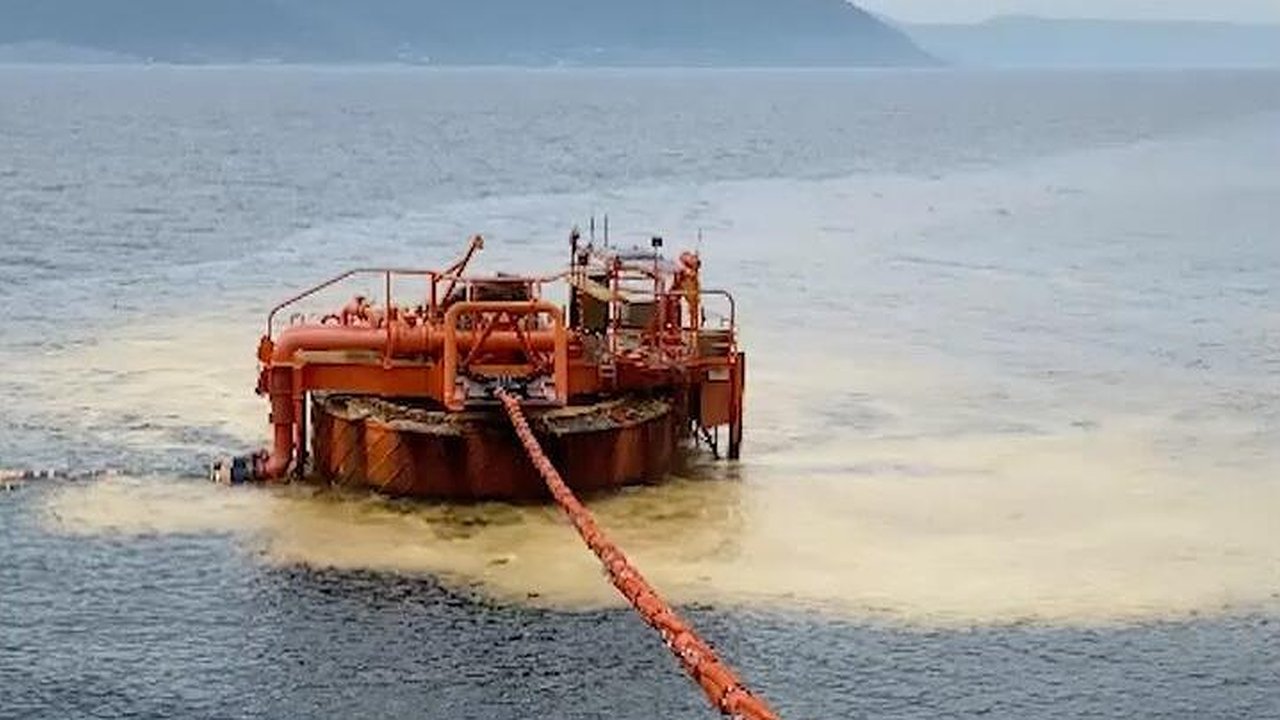 Главная картинка новости: "Если не жалко море и его обитателей, может просто посчитать, сколько такое поведение стоит?" Глава Росприроднадзора высказалась о разливе нефти в море в Новороссийске