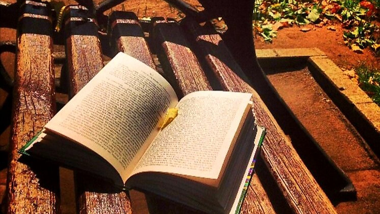 Главная картинка новости: Голос города: «На улице у тебя могут попросить что угодно: деньги, воду, но чтобы просили книги – у меня такое впервые!»