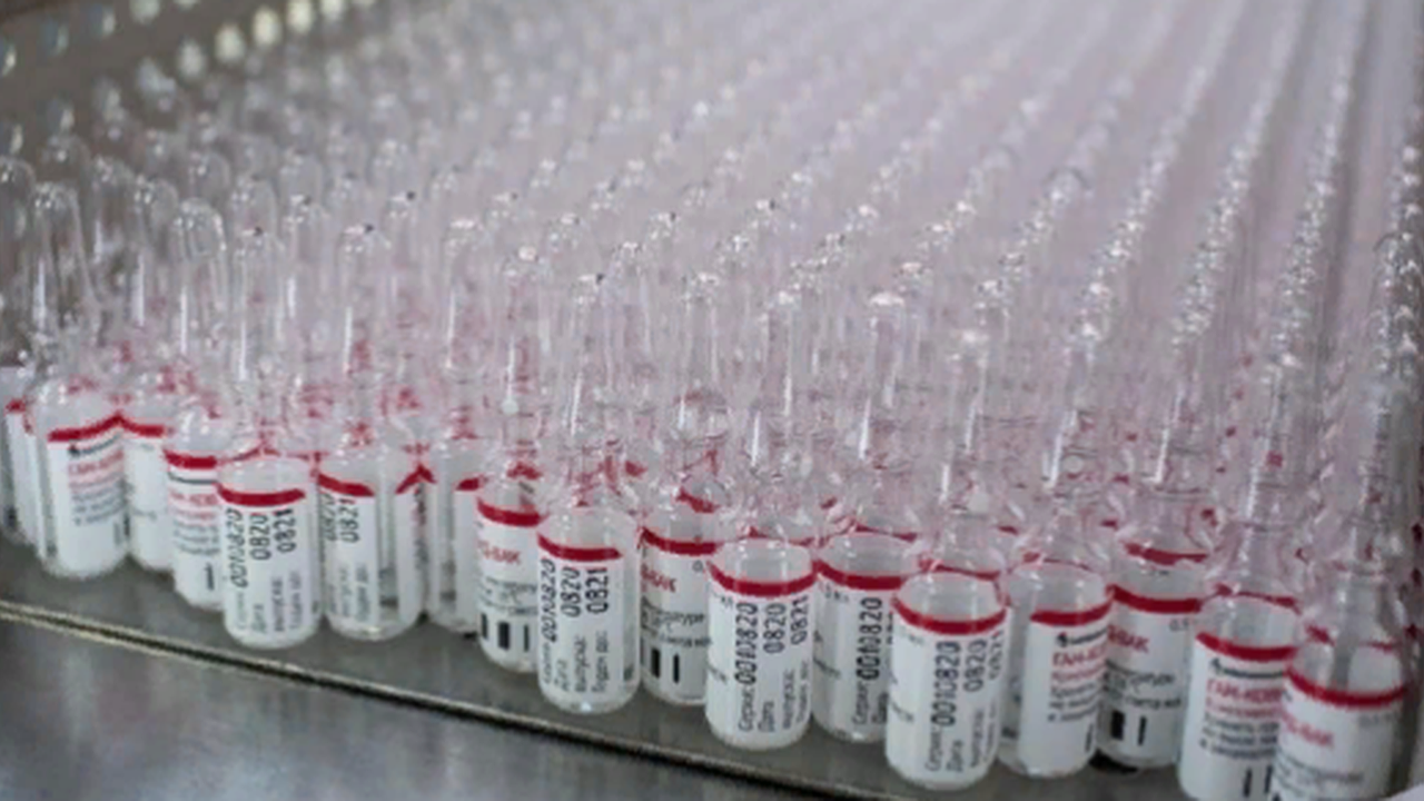 Главная картинка новости: Тысячи новороссийцев уже сделали прививку от коронавируса