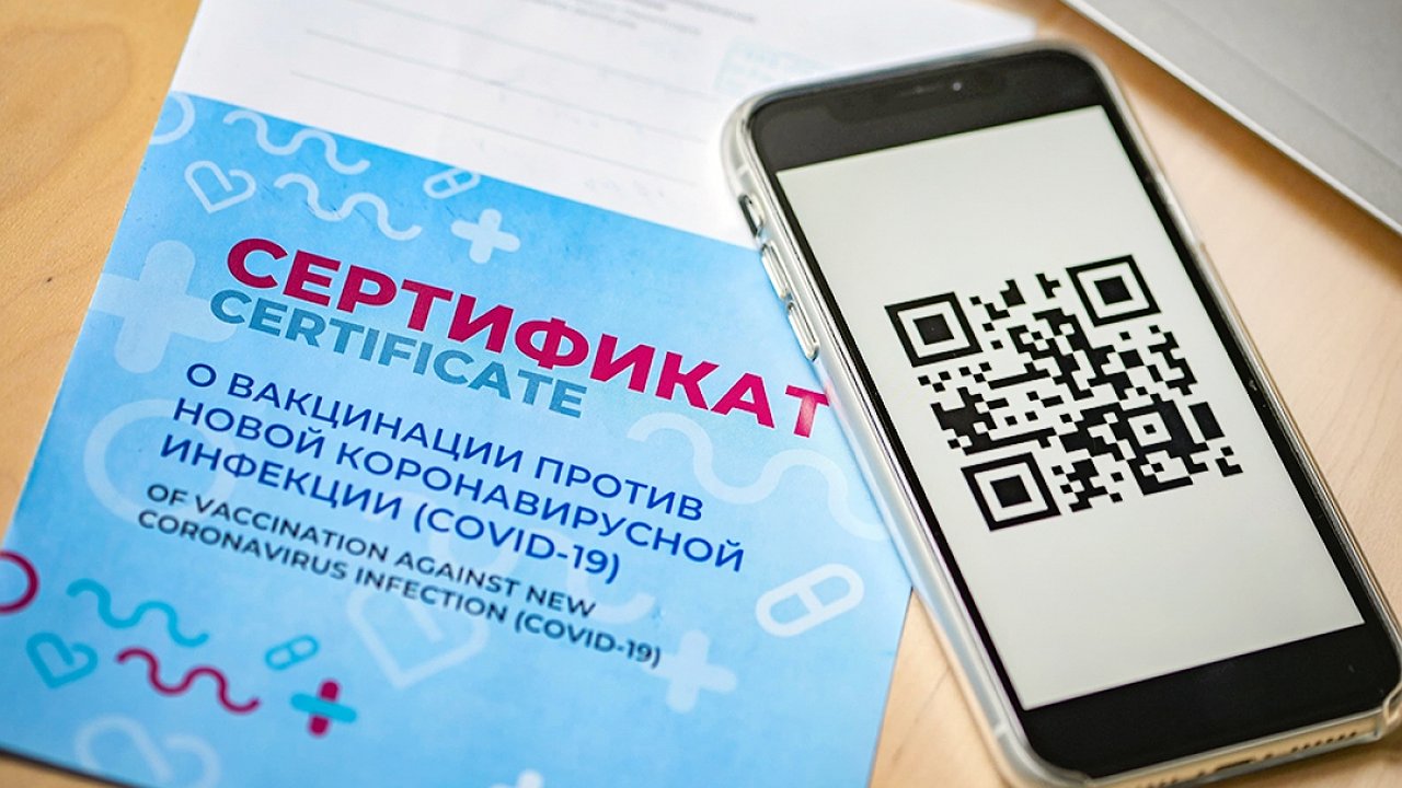 Главная картинка новости: Инструкция: как получить QR-код при наличии антител в крови