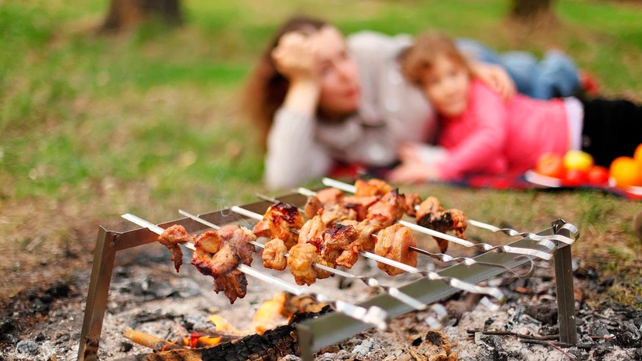 Главная картинка новости: На сколько могут оштрафовать новороссийцев за шашлыки в лесу?