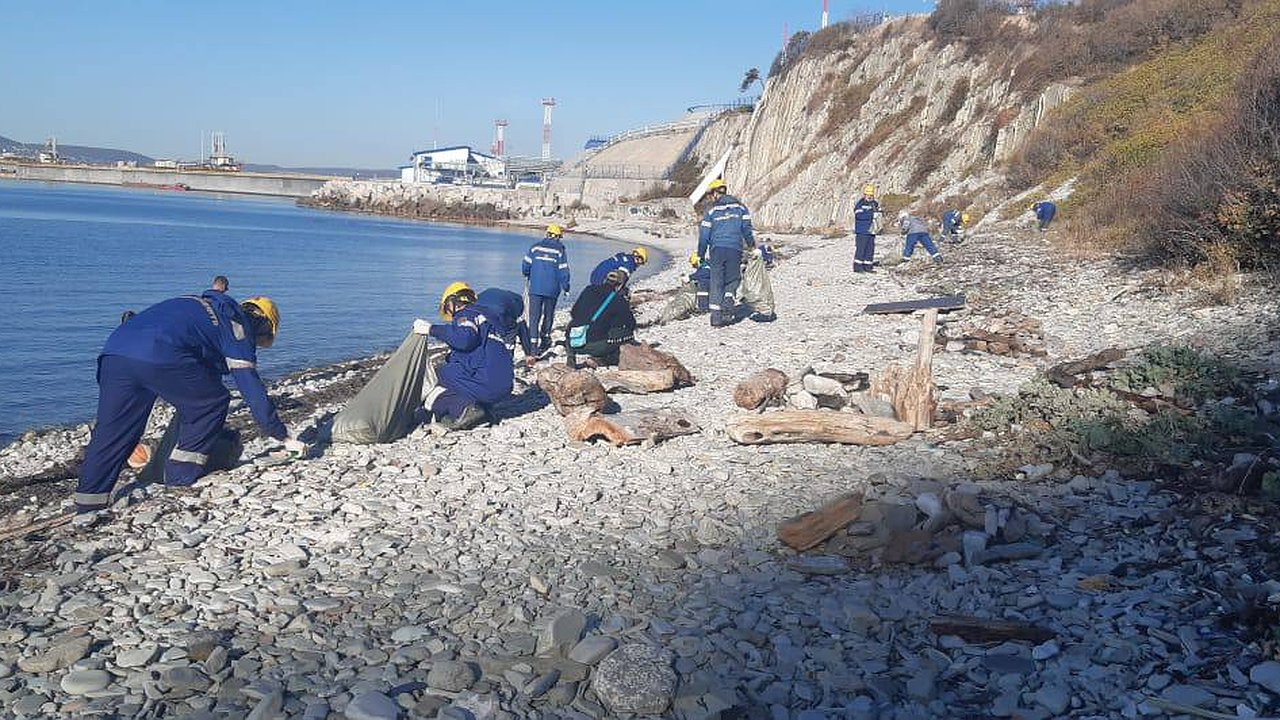 Главная картинка новости: В Международный день Черного моря волонтеры очистили один из новороссийских пляжей