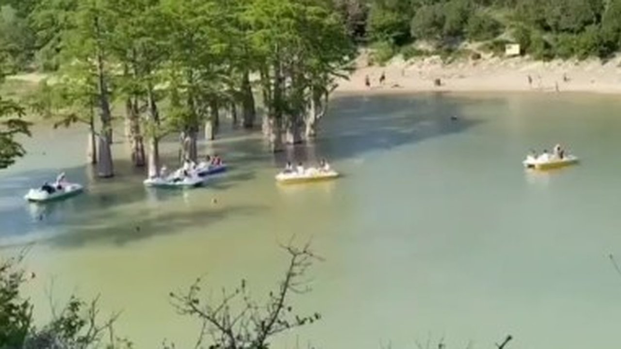 Главная картинка новости: Катамараны курсируют среди кипарисов по озеру Сукко