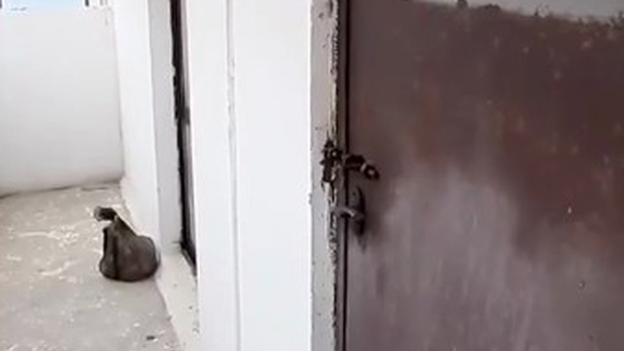 Главная картинка новости: Жители дома на Малой Земле требуют открыть пожарный выход