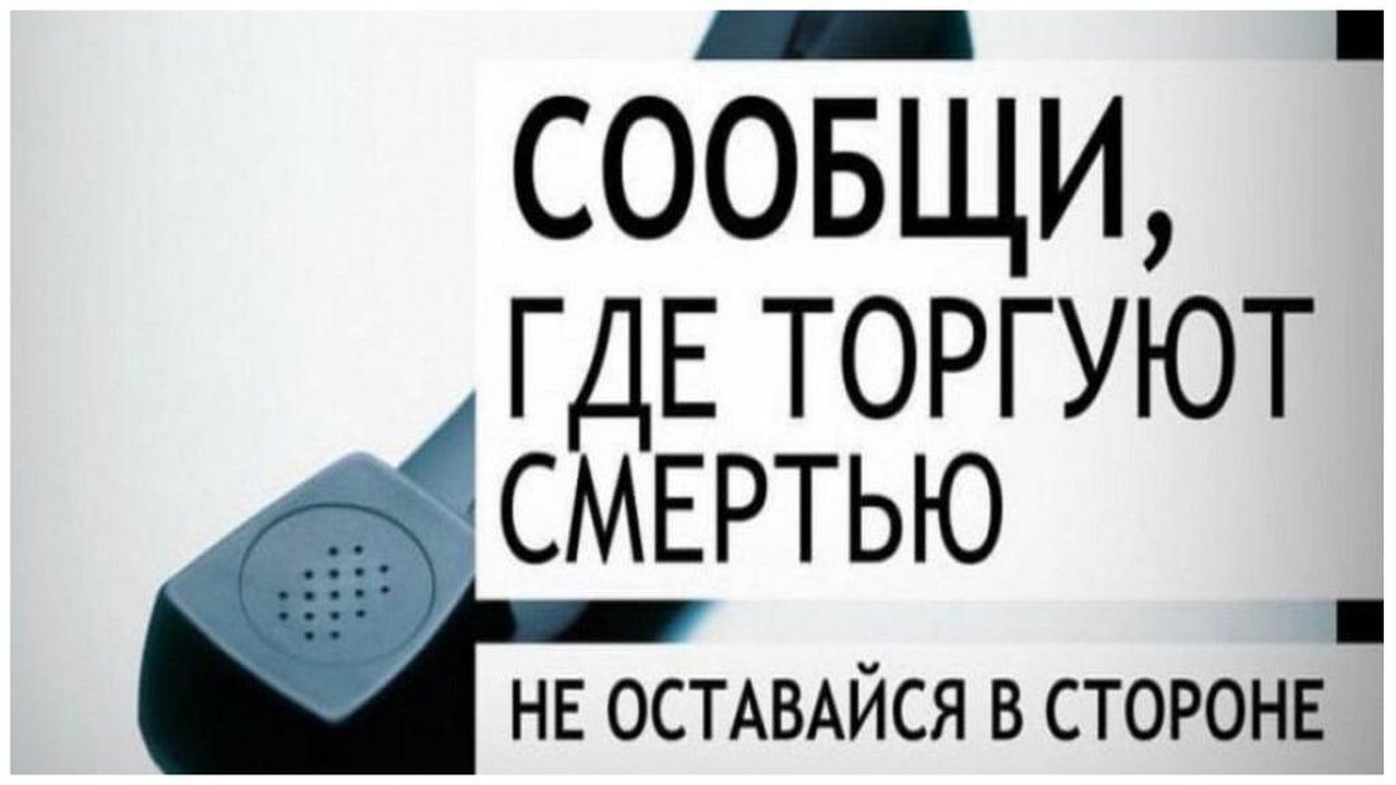 Главная картинка новости: В Новороссийске стартовала профилактическая акция: «Сообщи, где торгуют смертью»