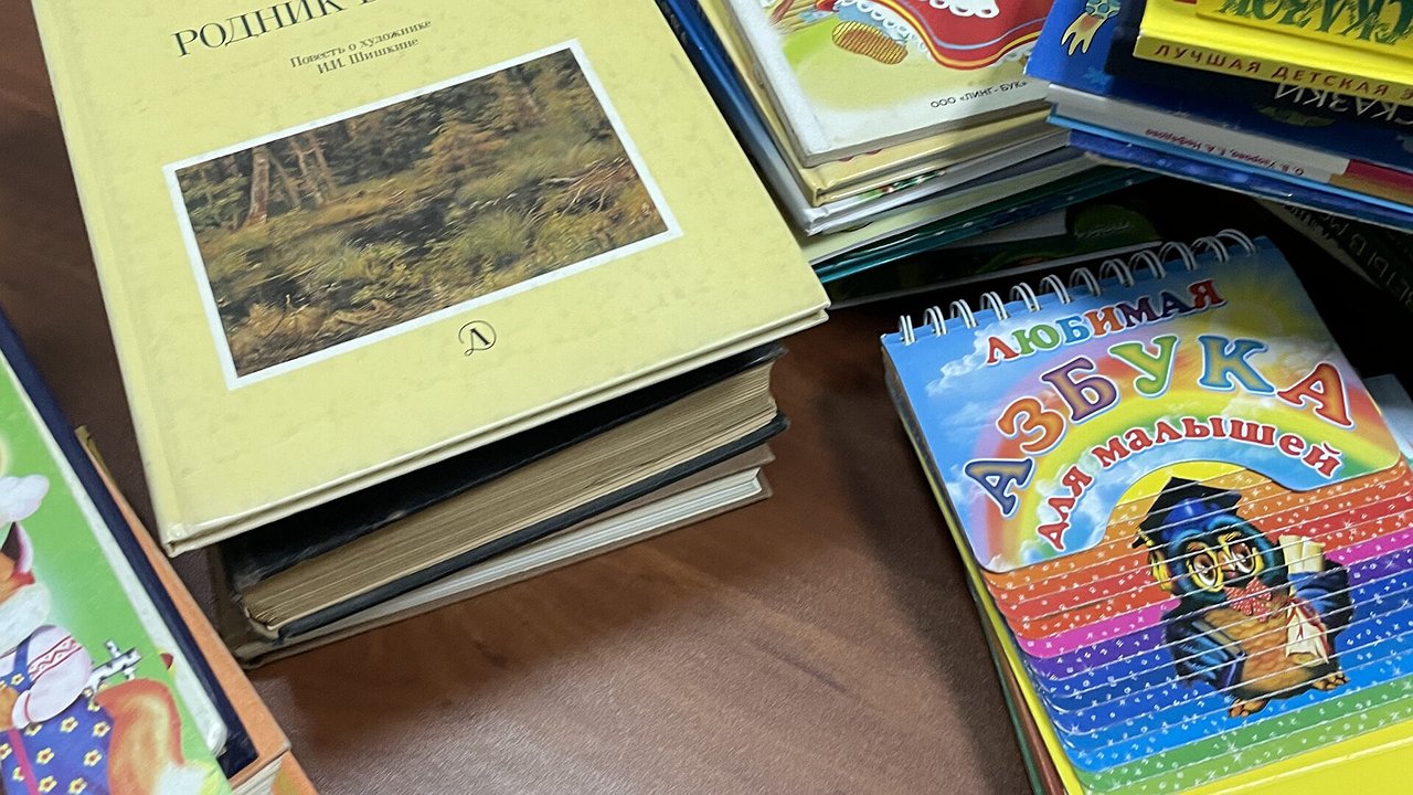 Главная картинка новости: Новороссийцы собирают книги для детей Донбасса