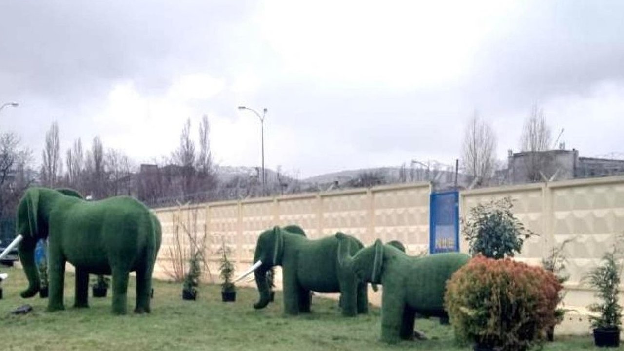 Главная картинка новости: Вдоль Магистральной около «Слонов» высадили лаванду и розы