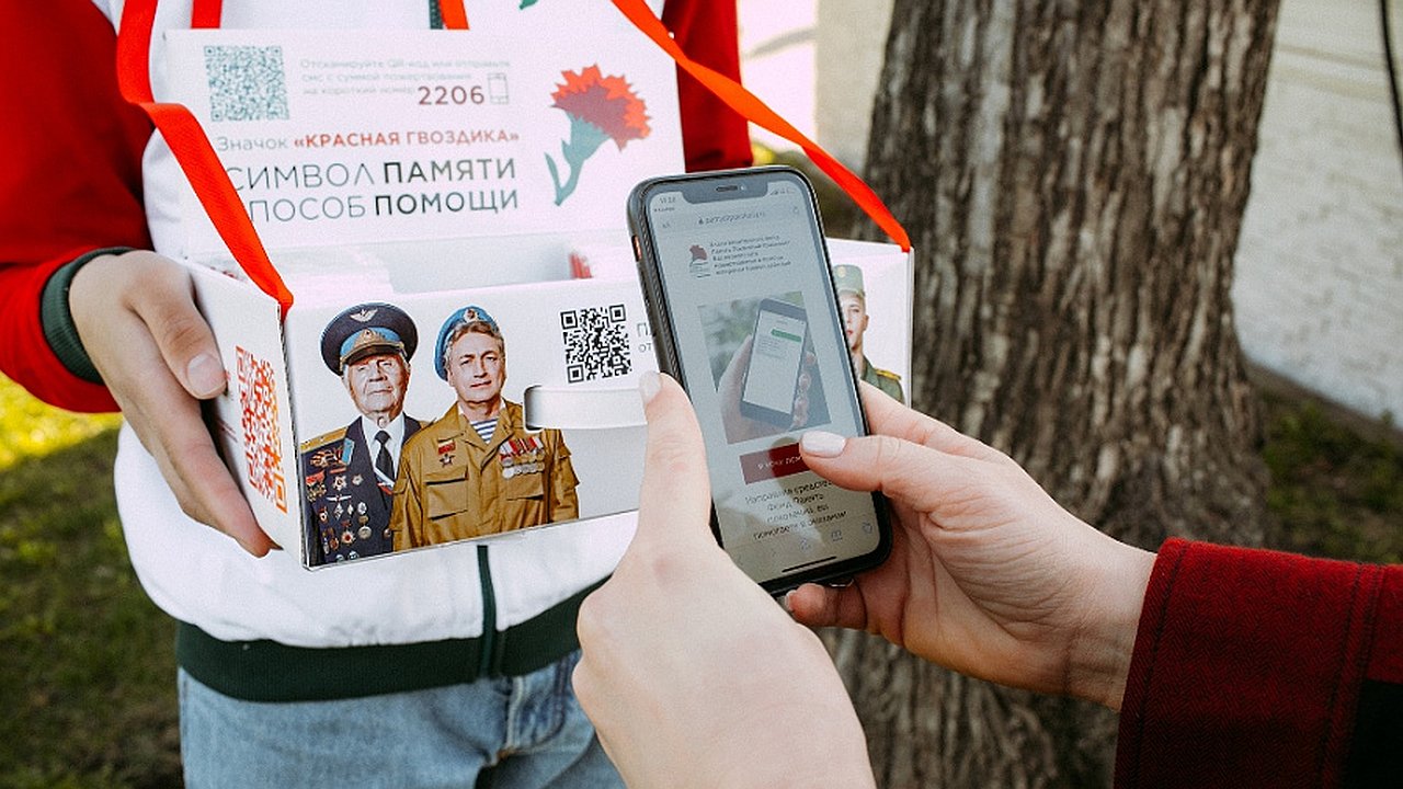 Главная картинка новости: На следующей неделе стартует акция «Красная гвоздика»: новороссийцы могут помочь ветеранам