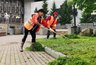 Миниатюра новости: Из бюджета Новороссийска почти 7 миллионов рублей пойдет на уборку улиц осенью