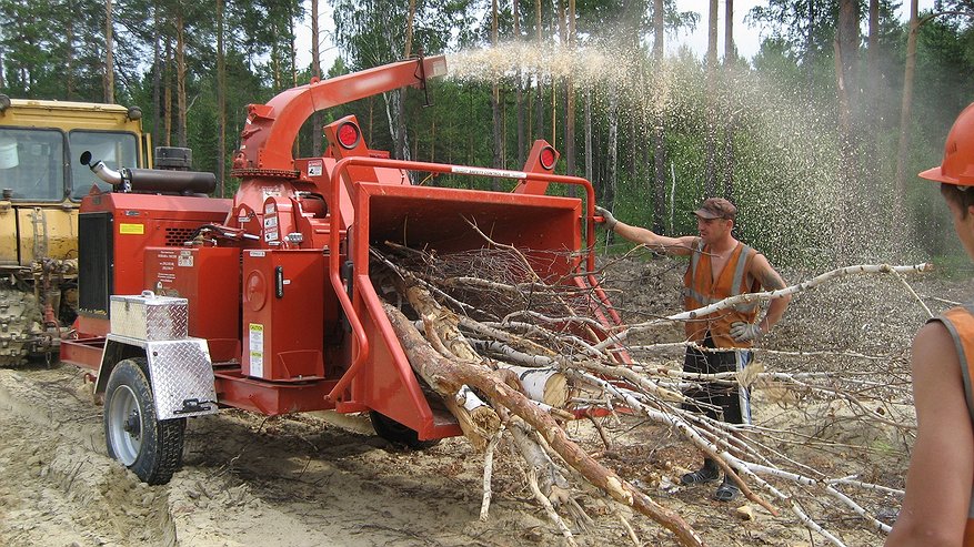 Главная картинка новости: Из бюджета Новороссийска потратят 1,5 миллиона на веткоизмельчитель