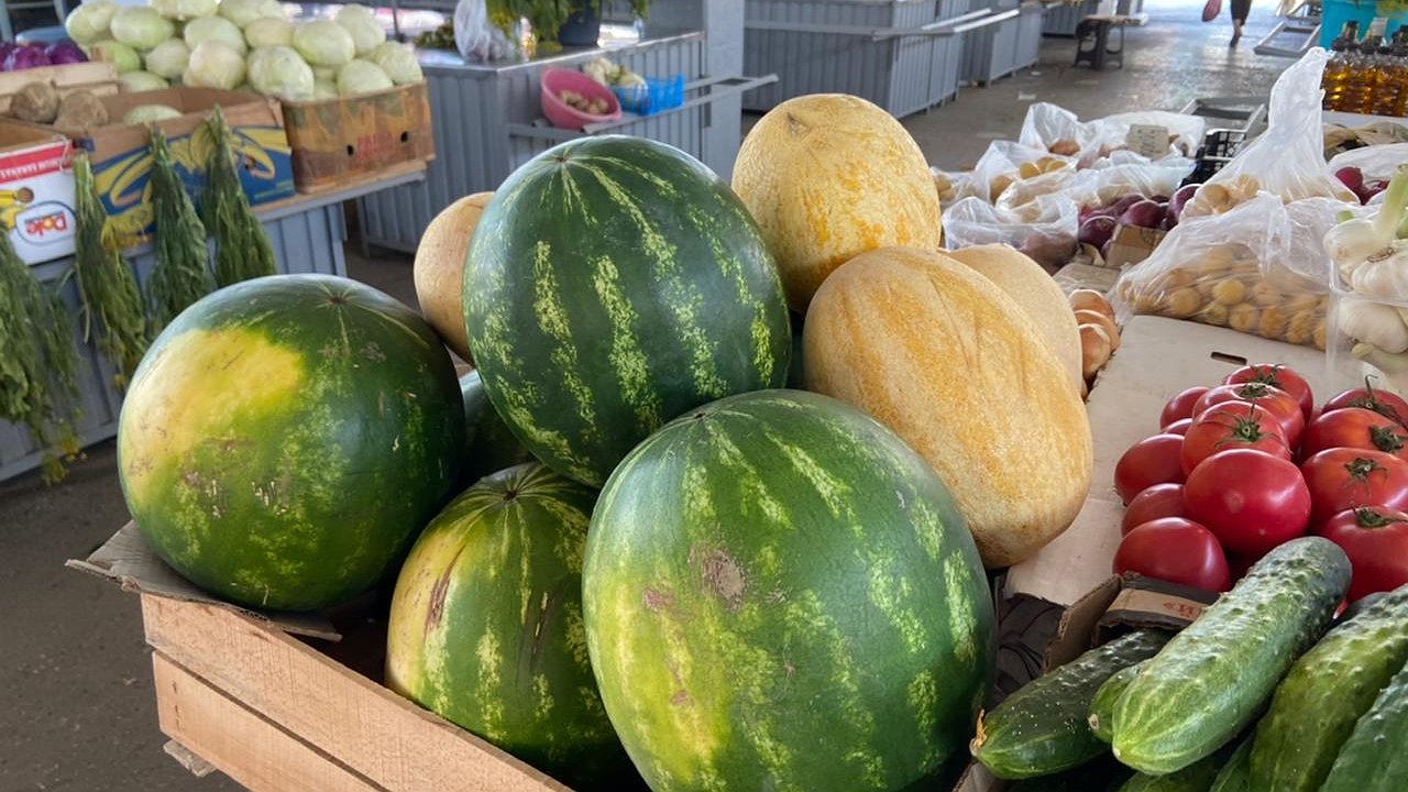 Главная картинка новости: На прилавках Новороссийска появились первые арбузы