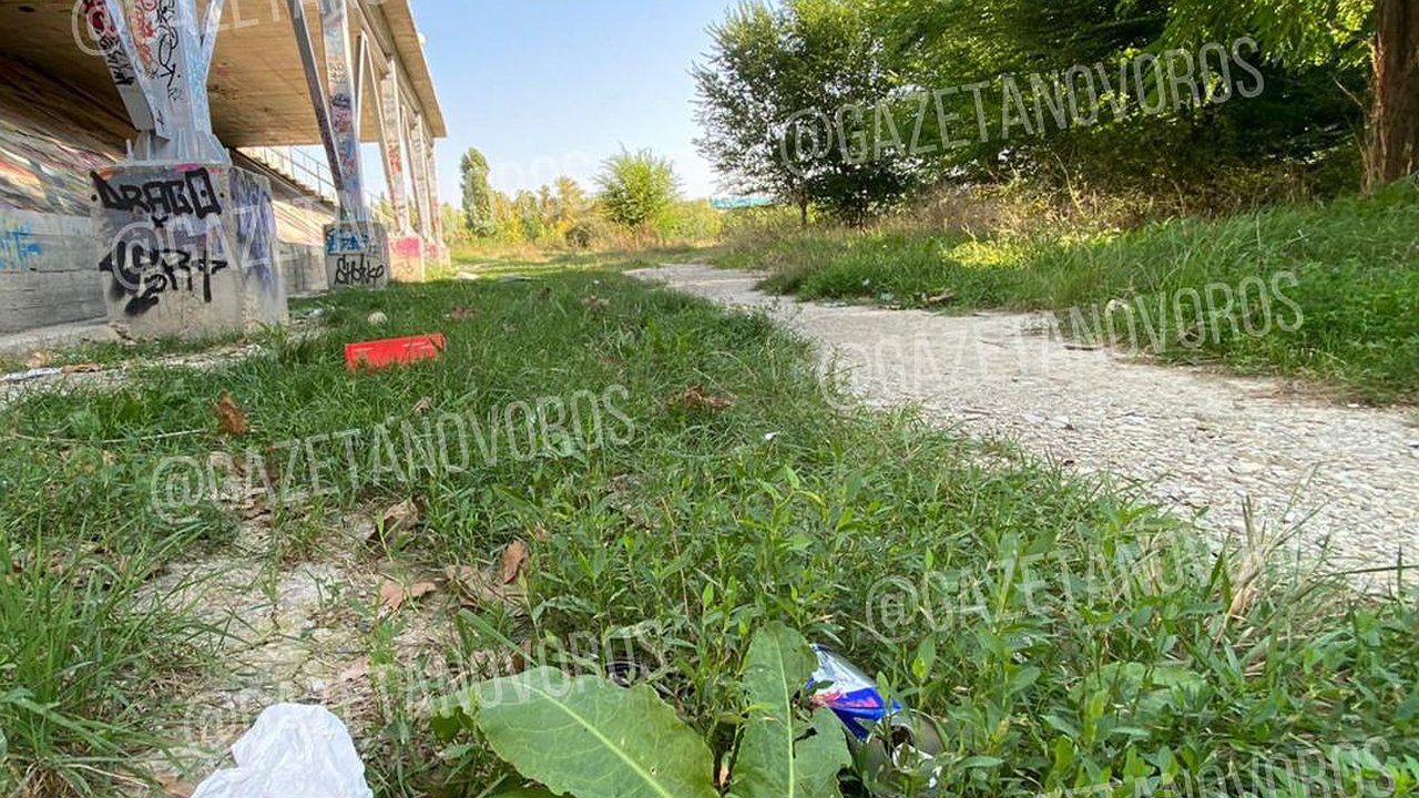 Главная картинка новости: Пакеты, банки и бутылки: Южные пруды в Новороссийске погрязли в мусоре. Видео