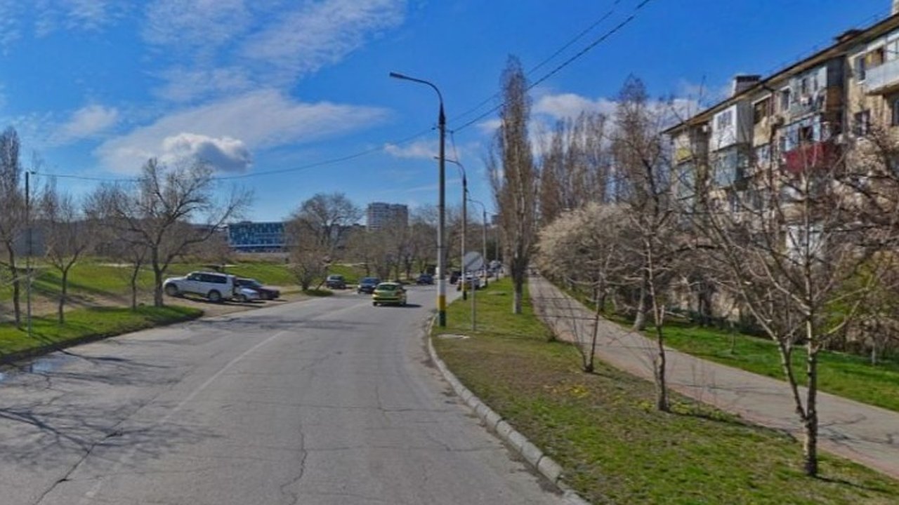 Главная картинка новости: Власти Новороссийска пообещали не вырубать деревья вдоль Героев Десантников