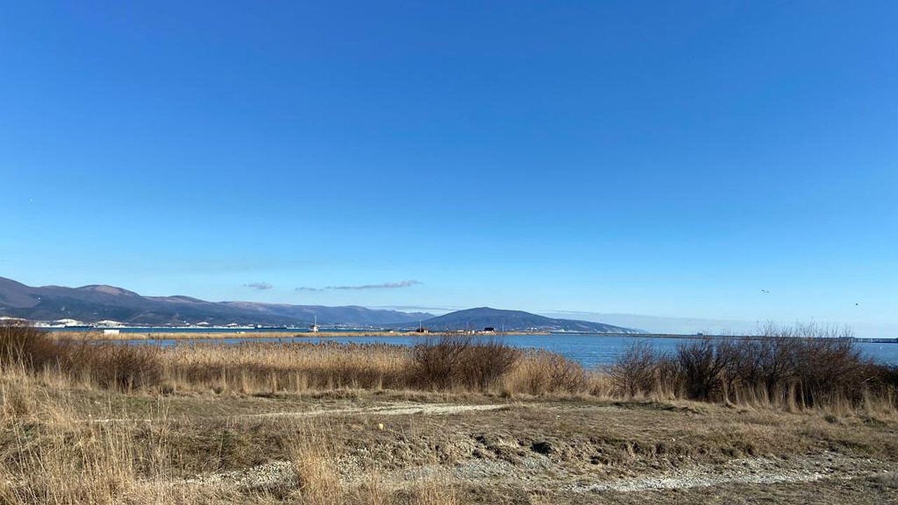 Главная картинка новости: В Новороссийске на Суджукской лагуне запретили строить концертный зал и гидрометеобюро