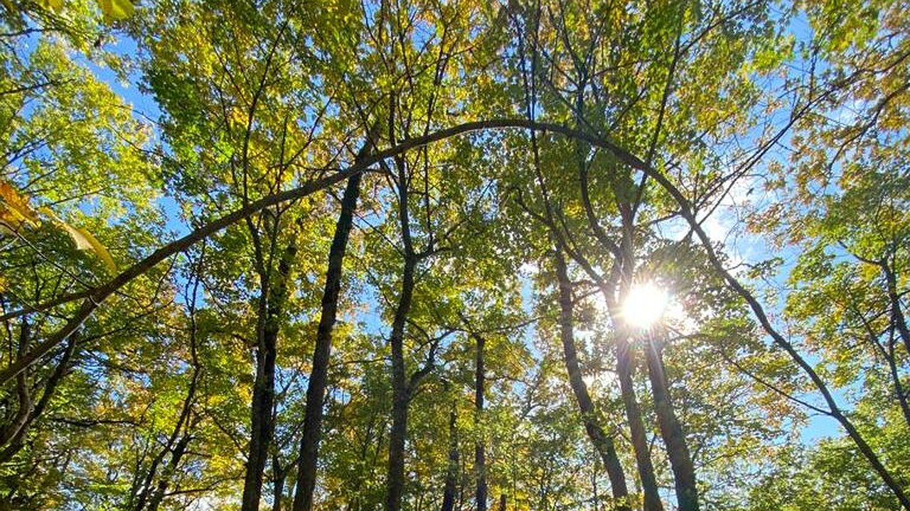 Главная картинка новости: Новороссийцам запретили ходить и ездить в леса