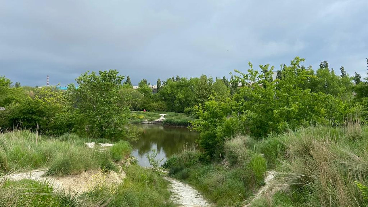 Главная картинка новости: Благоустройство «Южных прудов» в Новороссийске планируют начать в следующем году